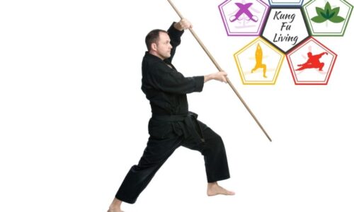 Bo Staff Module Bo Staff Module