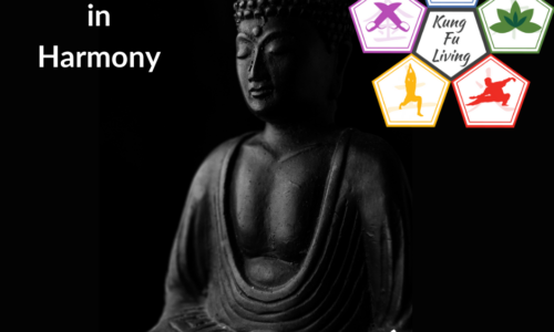 Living in Harmony – 35 Day Course – 3 of 4
