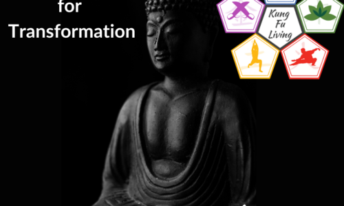 Meditation for Transformation – 30 Day Course – 1 of 4