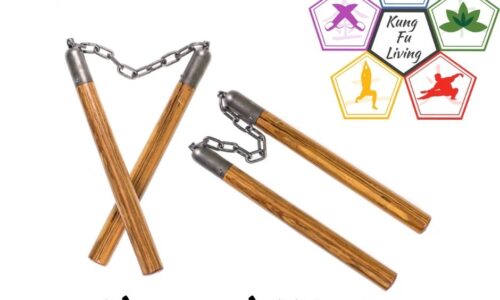 Advanced Double Nunchucks Module Advanced Double Nunchucks Module