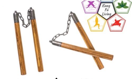 Double Nunchucks Module