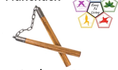 Nunchucks Beginner Module